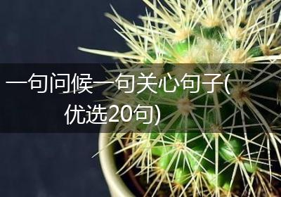 一句问候一句关心句子(优选20句)