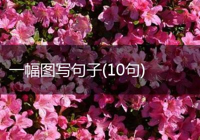 一幅图写句子(10句)