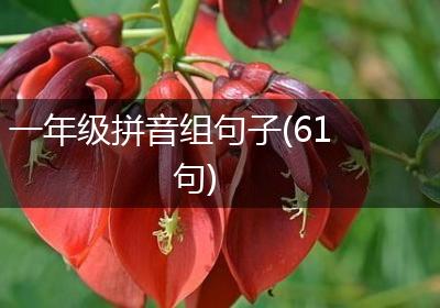 一年级拼音组句子(61句)