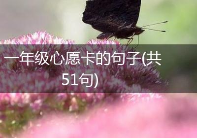 一年级心愿卡的句子(共51句)