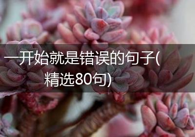 一开始就是错误的句子(精选80句)