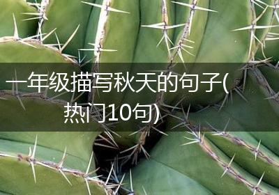 一年级描写秋天的句子(热门10句)