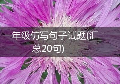 一年级仿写句子试题(汇总20句)