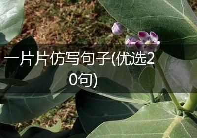 一片片仿写句子(优选20句)