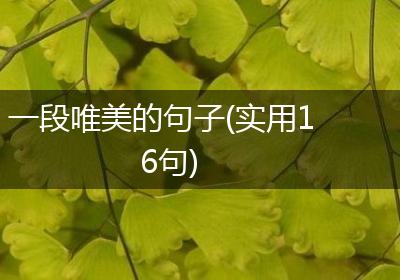一段唯美的句子(实用16句)