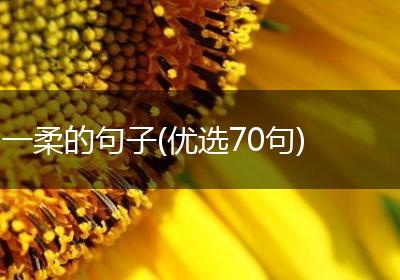一柔的句子(优选70句)