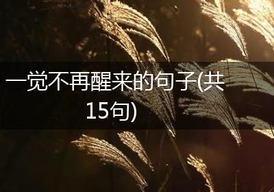 一觉不再醒来的句子(共15句)