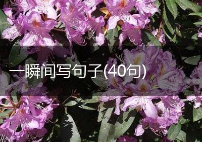 一瞬间写句子(40句)