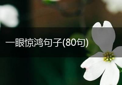 一眼惊鸿句子(80句)