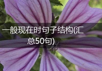 一般现在时句子结构(汇总50句)