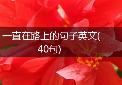 一直在路上的句子英文(40句)