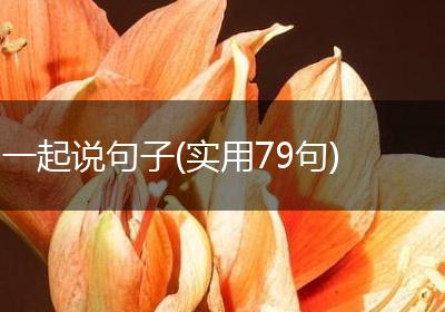 一起说句子(实用79句)