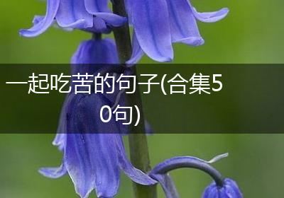 一起吃苦的句子(合集50句)