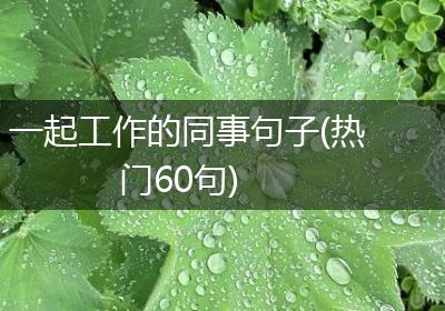 一起工作的同事句子(热门60句)