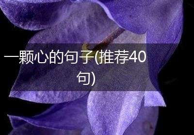 一颗心的句子(推荐40句)