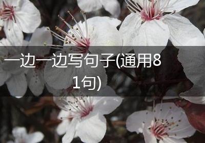 一边一边写句子(通用81句)