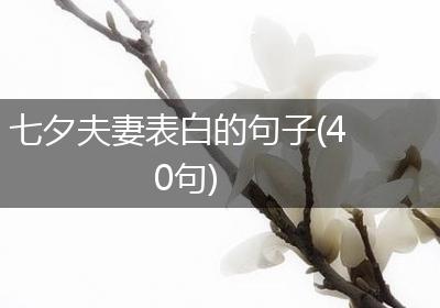 七夕夫妻表白的句子(40句)