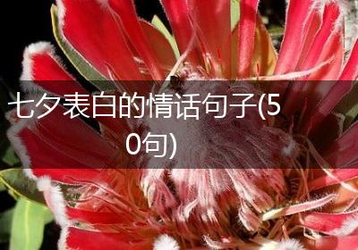 七夕表白的情话句子(50句)