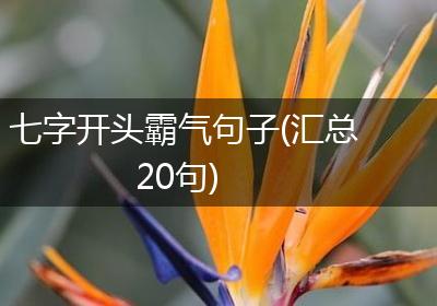 七字开头霸气句子(汇总20句)