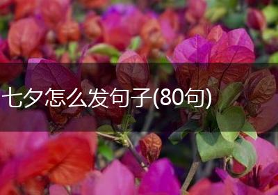 七夕怎么发句子(80句)