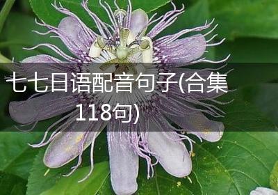 七七日语配音句子(合集118句)