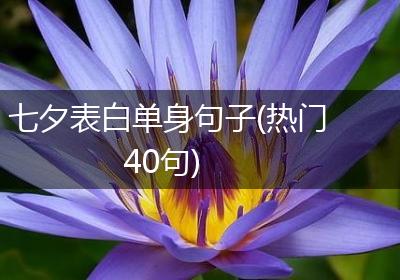 七夕表白单身句子(热门40句)