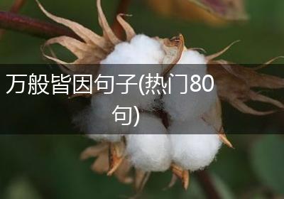 万般皆因句子(热门80句)