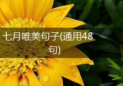 七月唯美句子(通用48句)