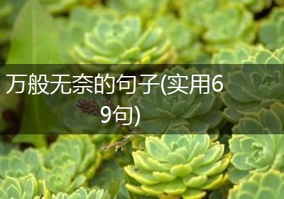 万般无奈的句子(实用69句)