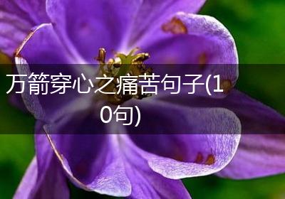 万箭穿心之痛苦句子(10句)