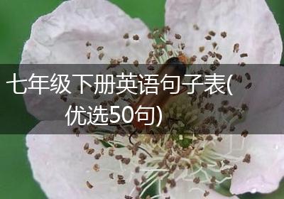七年级下册英语句子表(优选50句)