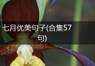 七月优美句子(合集57句)
