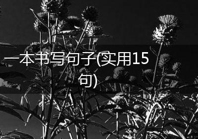 一本书写句子(实用15句)