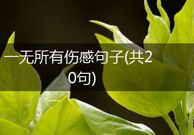 一无所有伤感句子(共20句)
