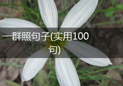 一群照句子(实用100句)