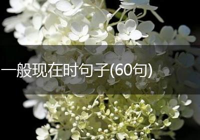 一般现在时句子(60句)