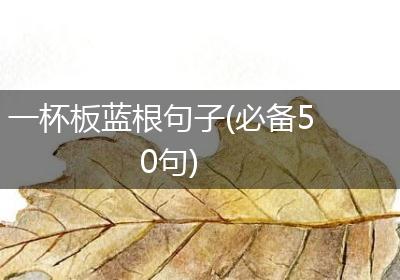 一杯板蓝根句子(必备50句)