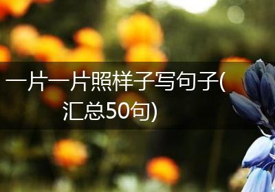 一片一片照样子写句子(汇总50句)