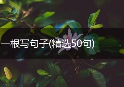 一根写句子(精选50句)