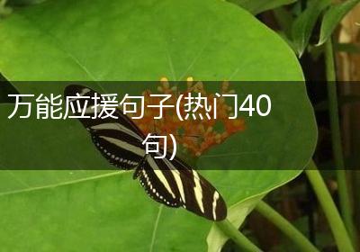万能应援句子(热门40句)