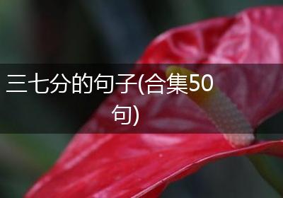 三七分的句子(合集50句)