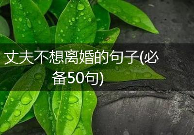丈夫不想离婚的句子(必备50句)