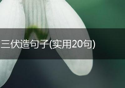 三伏造句子(实用20句)