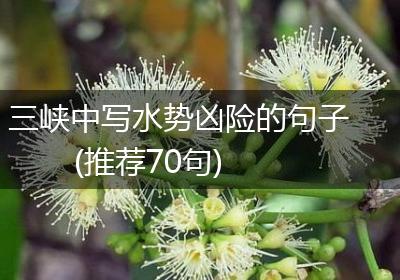 三峡中写水势凶险的句子(推荐70句)