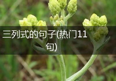 三列式的句子(热门11句)