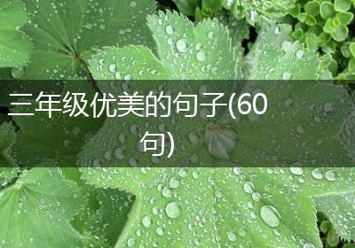 三年级优美的句子(60句)