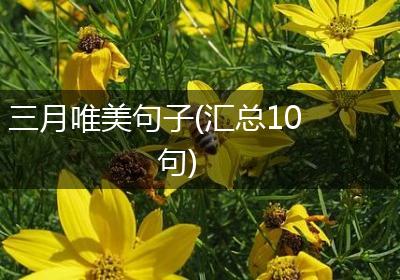 三月唯美句子(汇总10句)
