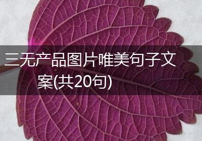 三无产品图片唯美句子文案(共20句)