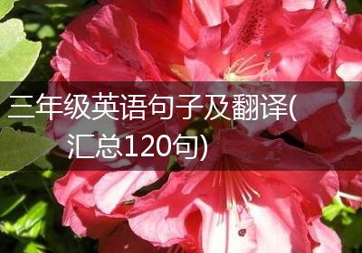 三年级英语句子及翻译(汇总120句)