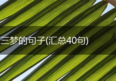 三梦的句子(汇总40句)